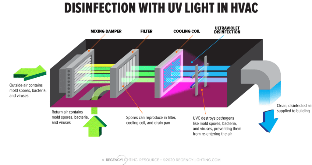 Are UV Air Purifiers Effective in Preventing Respiratory Issues?