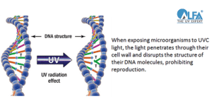UV Radiation Effect