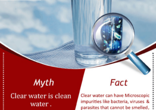 Why Clear Water Is Not Necessarily Safe to Drink?