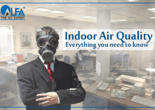 Indoor Air Quality – Everything You Need To Know