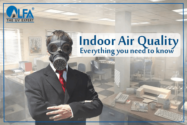 Indoor Air Quality – Everything You Need To Know