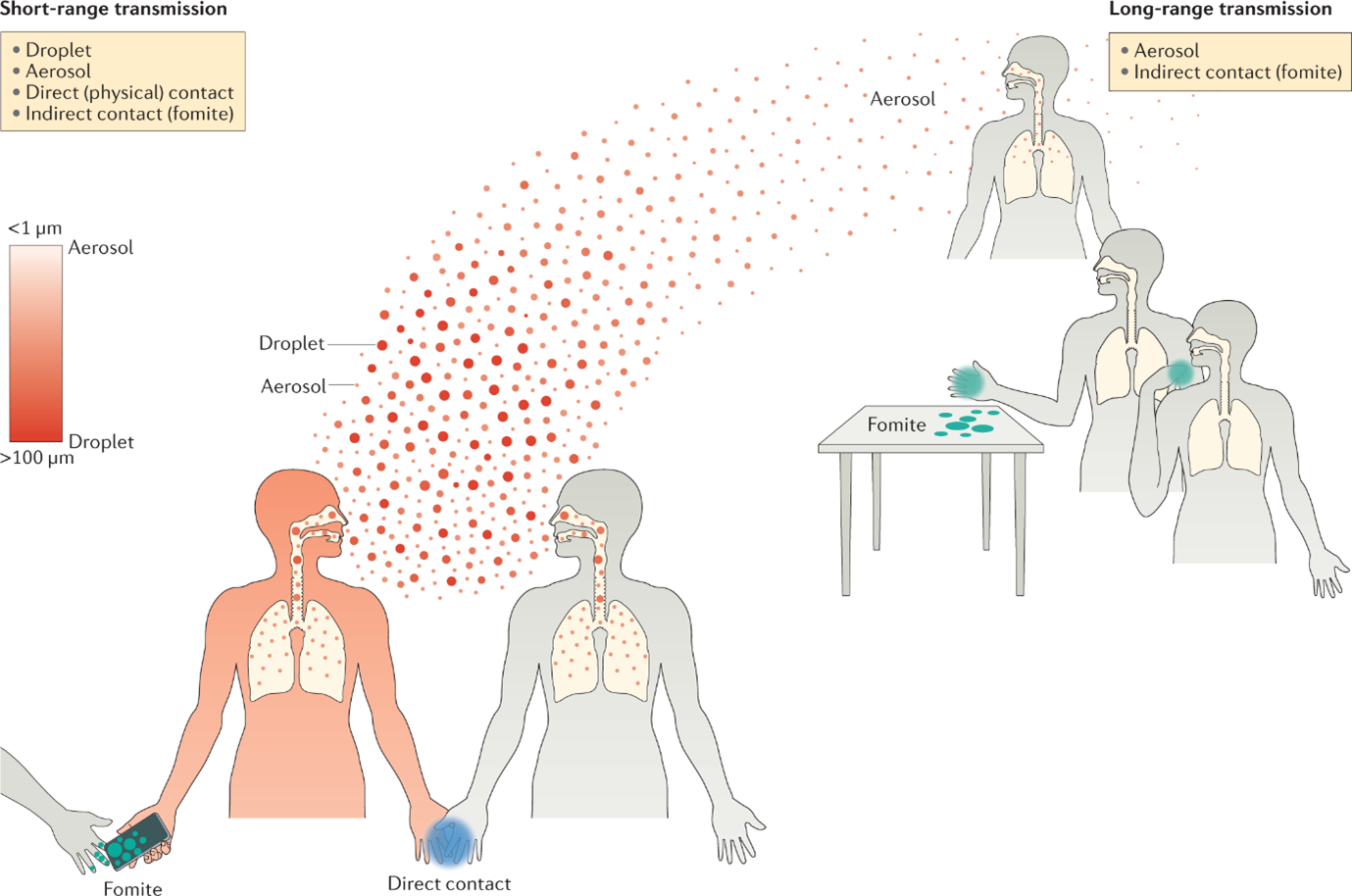 Can UVGI Air Purification Systems Help Fight Adenovirus? - Alfaa Uv