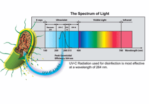 UV Disinfection System