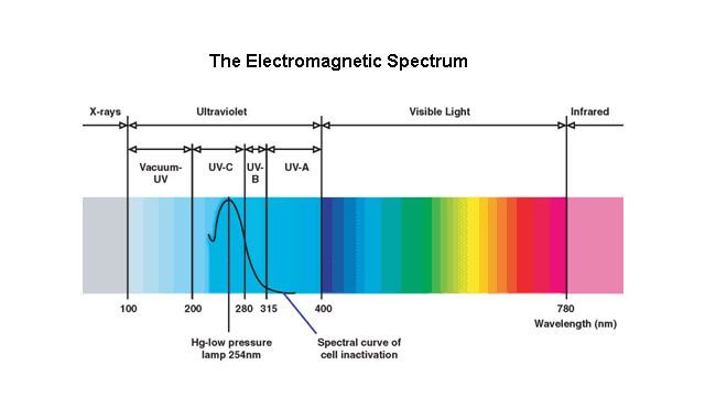 UV Technology and Water Disinfection