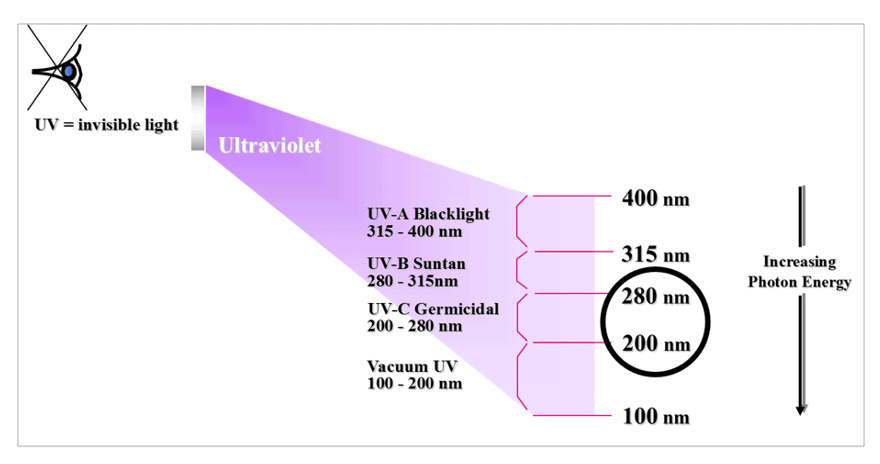 A Closer Look at the UV bands