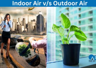 How does indoor air quality differ from outdoor air quality?