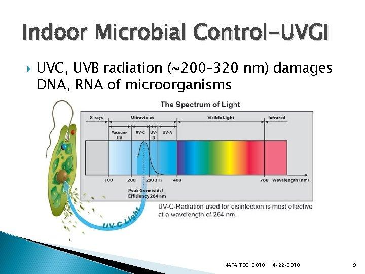 indoor microbal