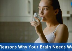 4 Reasons Why Your Brain Needs Water