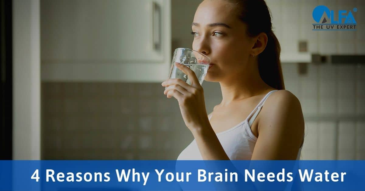 4 Reasons Why Your Brain Needs Water